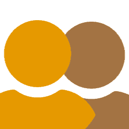 Partner Intensive icon